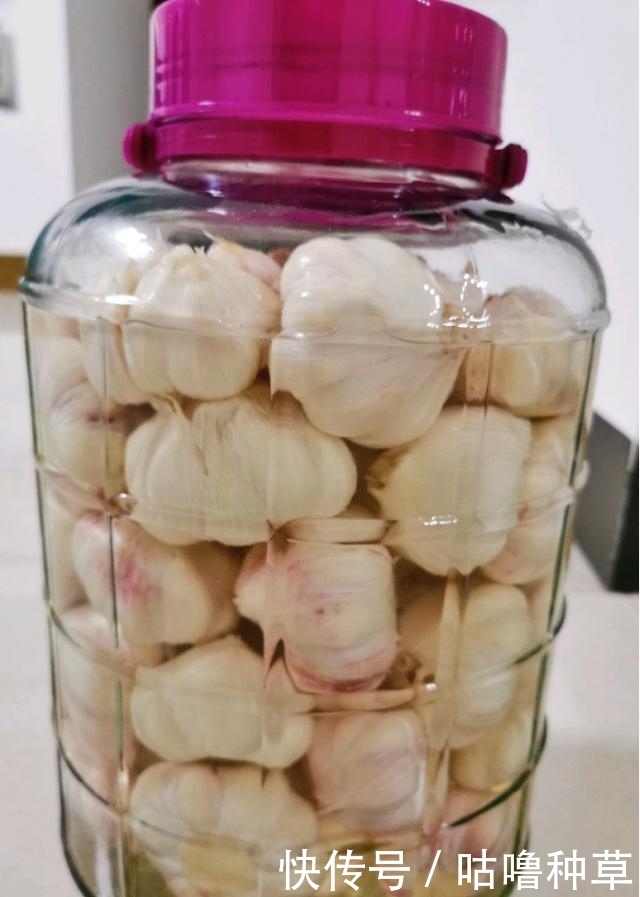 不再|学会这一小技巧,腌糖蒜不再难,不咸入味,色泽好看也耐存放