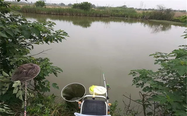 秋季是钓鱼的黄金季节，其中这两种天气，更爱上鱼