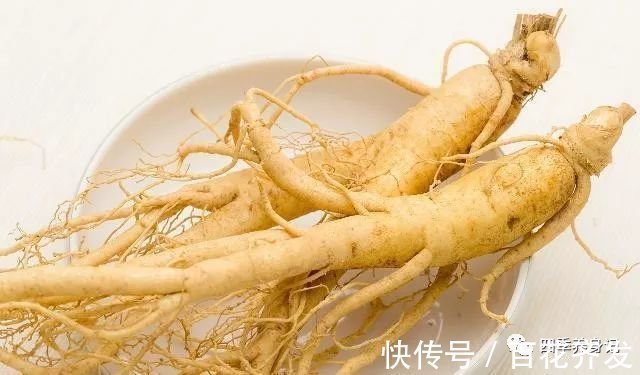 西洋参|劝告大家有一味中药健脾润肺,调理失眠,杀菌消炎,清肺化痰预防肺癌