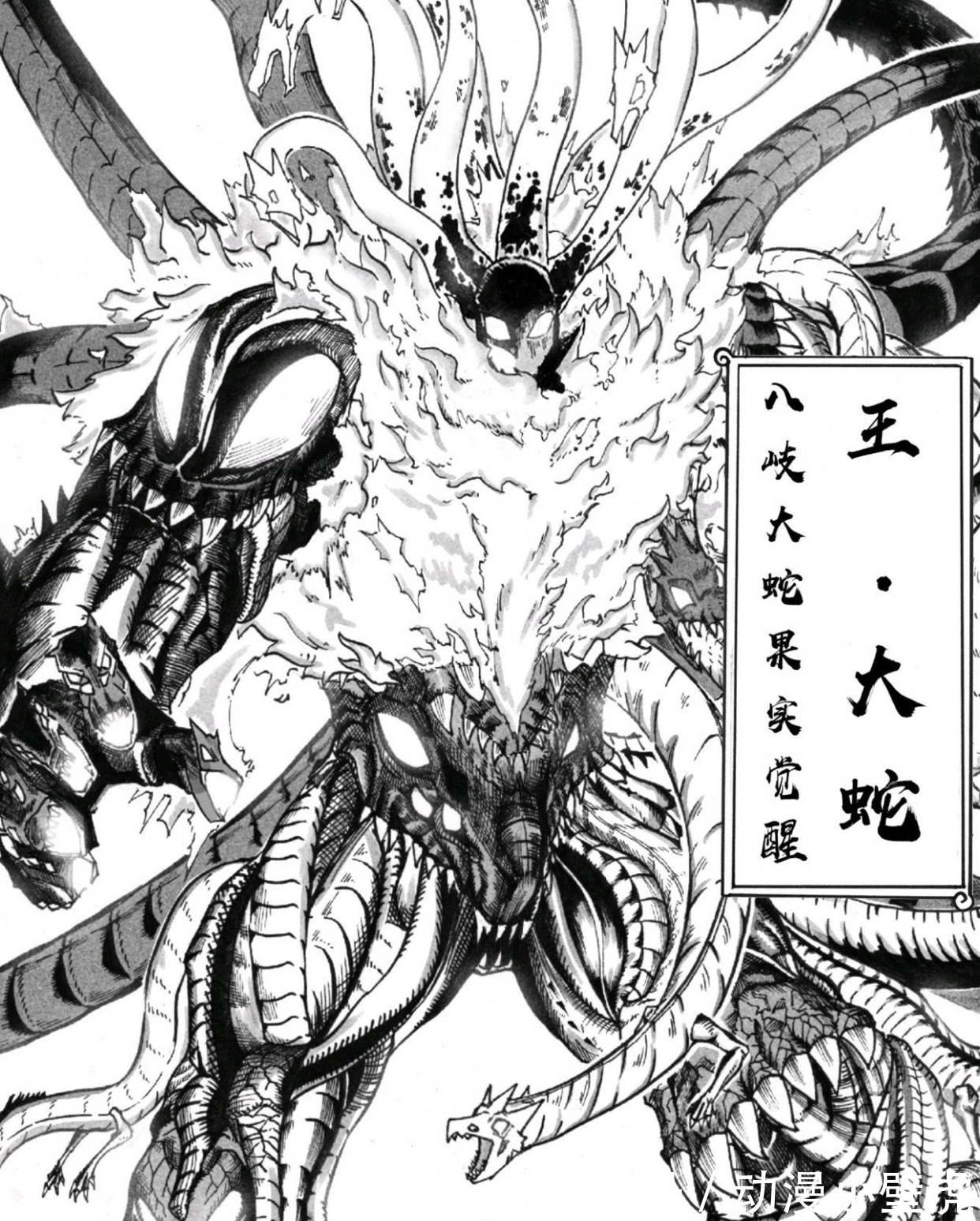 剧本|海贼王“暗黑系”剧本流出!网友直呼这才是心目当中的和之国大战