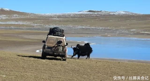 羌塘最惨烈的一次穿越,115人进入仅7人生还