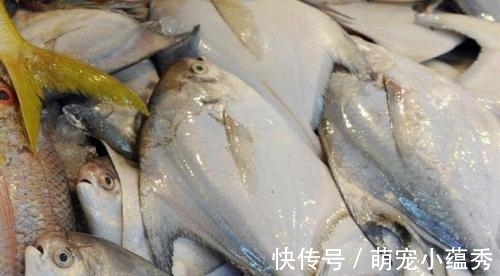 去市场买鱼，聪明人专挑这4种，好吃又便宜，鱼贩子都夸你是行家