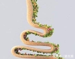 含有|这种蔬菜既便宜营养有丰富,最主要的它补钙