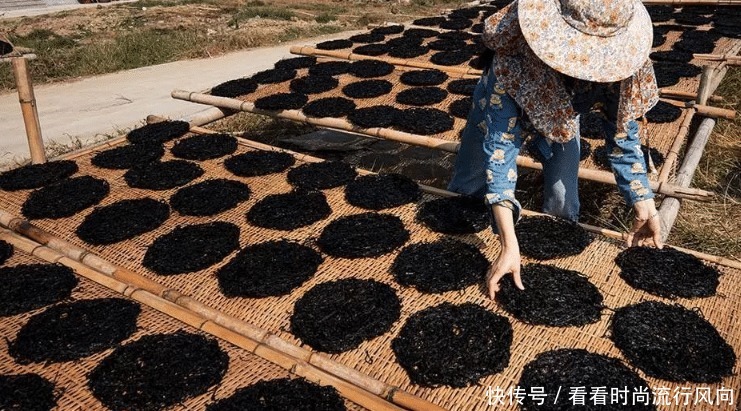  外行|做紫菜汤，“外行”直接用水煮！大厨教你正确做法，更鲜美更香浓