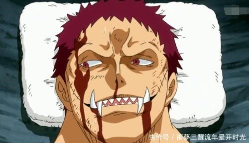 集卡二|海贼王877集卡二演技太差,被布蕾看出漏洞,他是故意输给路飞