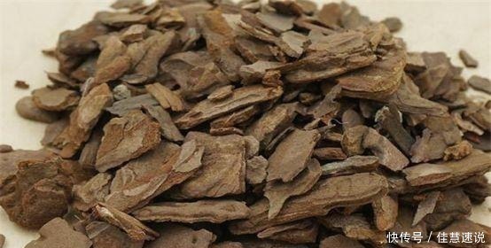 兰花总是烂根叶黄土里加1样东西,让兰花根壮叶绿