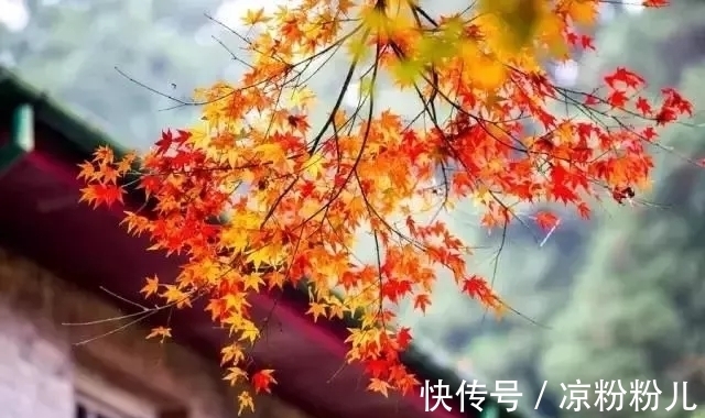 阿房宫赋@人生入秋,岁染花香。三首清新自然的秋天古诗,你值得一读