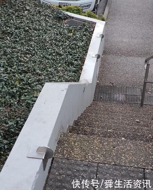 不懂就问!万能的网友,这些奇怪的东西,都是啥啊