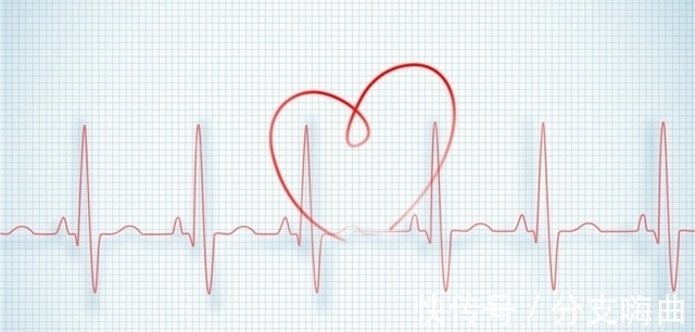 19个冷知识:看起来略显荒诞,但却真实存在