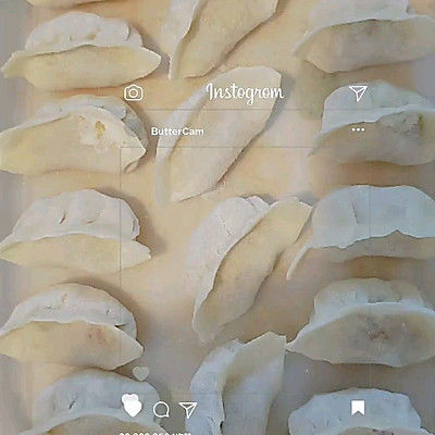 肉馅|茄子馅饺子