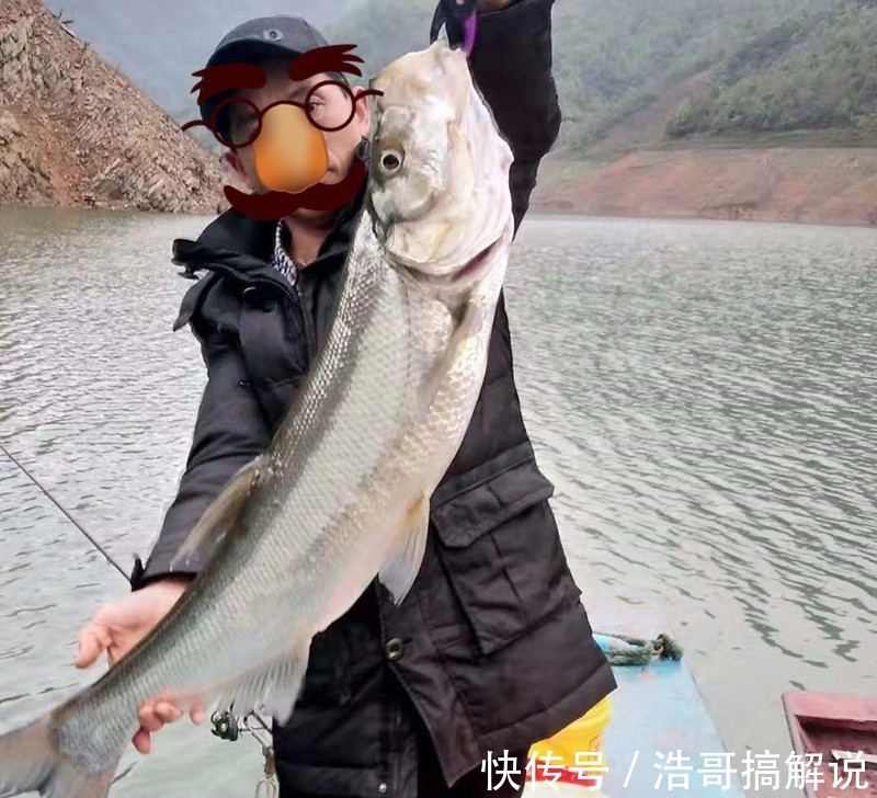 翘嘴鱼能长多大？