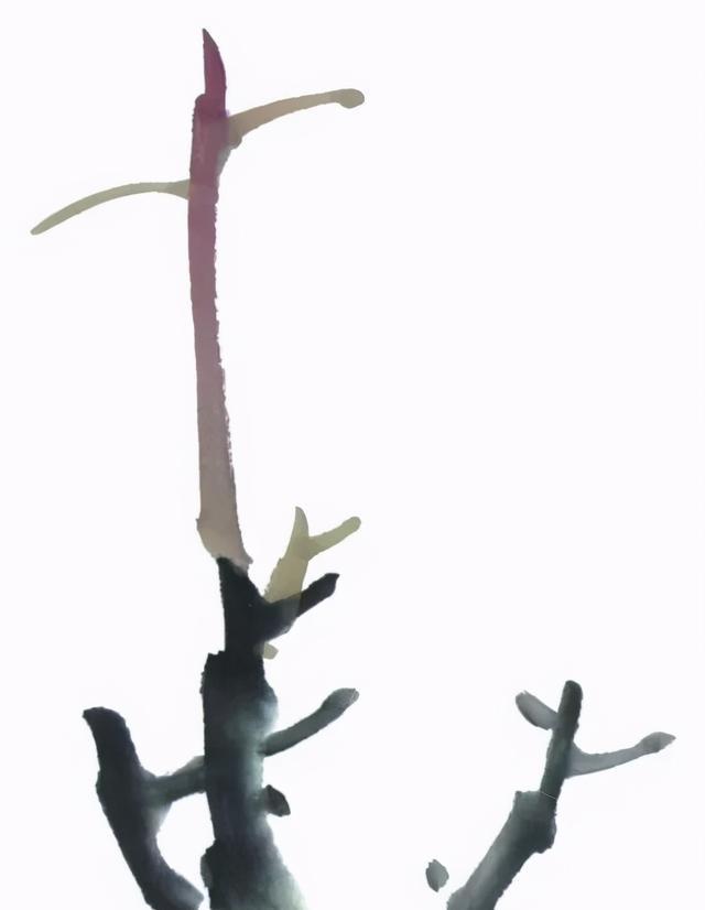 形态|紫、红牡丹花头写意画法与形态参考