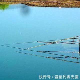 春季想钓好鱼，钓大鱼，这“三点”缺一不可！——盛世三渔