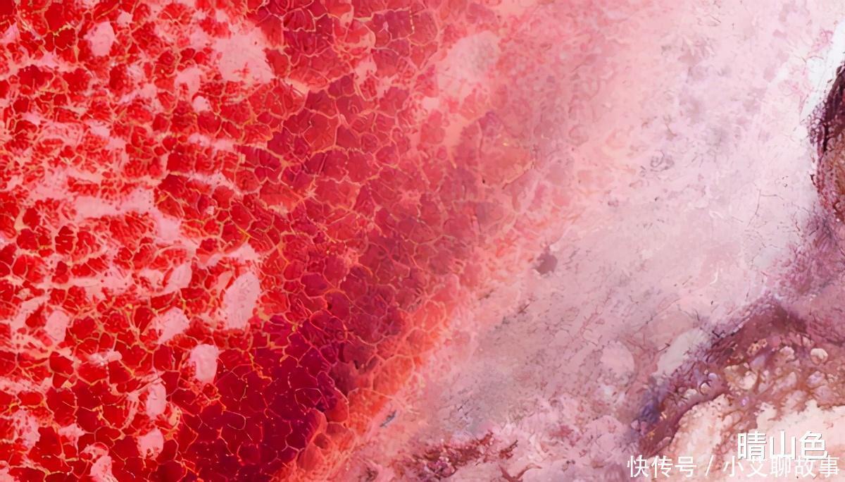 纳特龙湖为什么被称之为“冥河”动物一旦掉入，就会成为化石