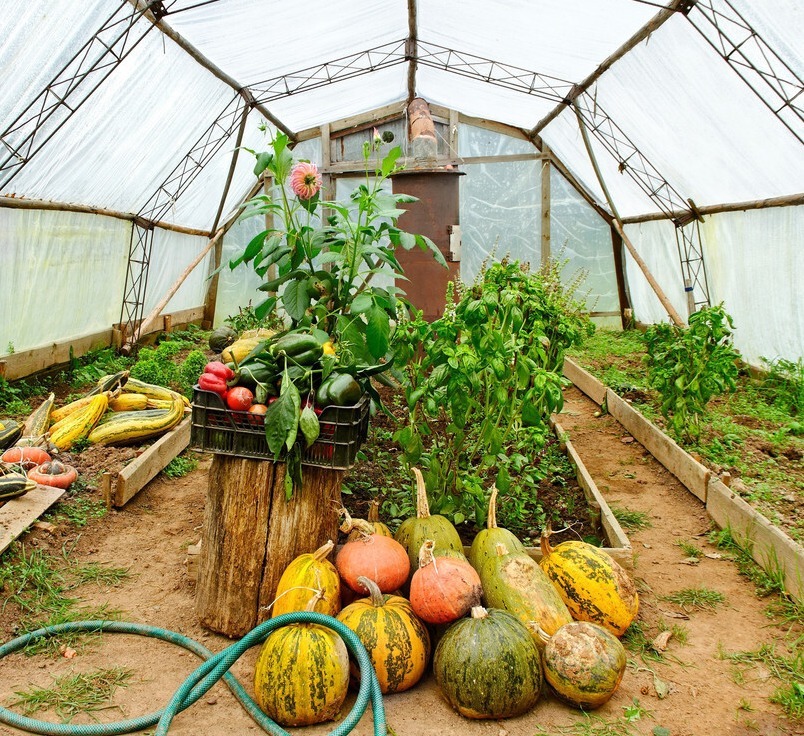 海带氨酸|骨科医生提醒3种食物每天坚持吃,不到2个月,腿脚有劲骨骼硬