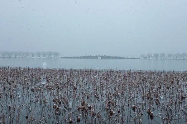 浙江分社|开工第一天杭州这场雪，东北人都说“服气”！