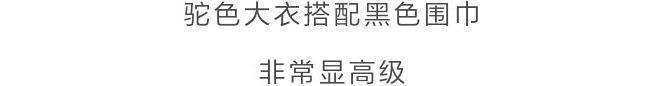 b什么颜色的大衣,就搭什么围巾,这才是超实用的穿搭法