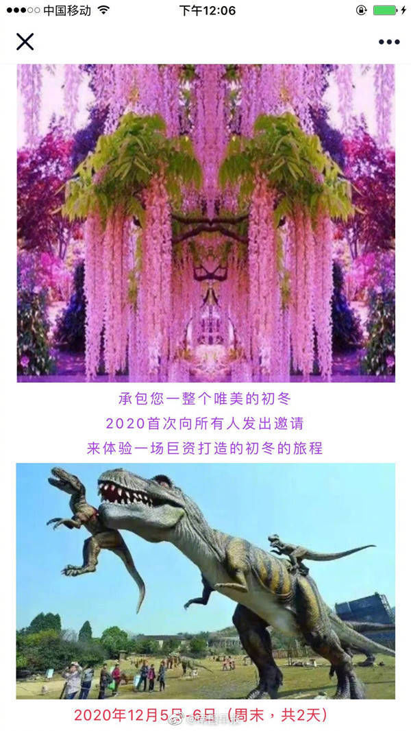 百色一恐龙展货不对板遭吐槽