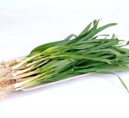 蔬菜|告诉家人:2种蔬菜发芽后不仅没毒,营养价值还翻倍,丢掉可惜