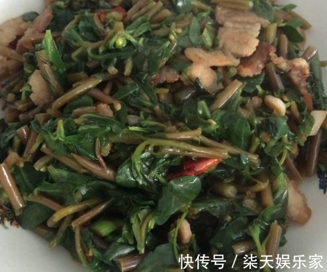 茄子|怀孕期,3种食物孕妇平时别多吃,会吸收毒素,损伤宝宝发育