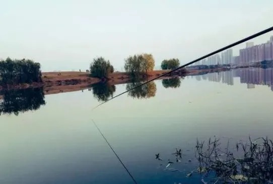 “冬钓边”早就过时了!教你钓鲫鱼的三个钓位,简单省事渔获还多