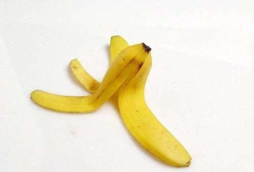 花草养不活,放点香蕉皮,打鸡血一样疯长!