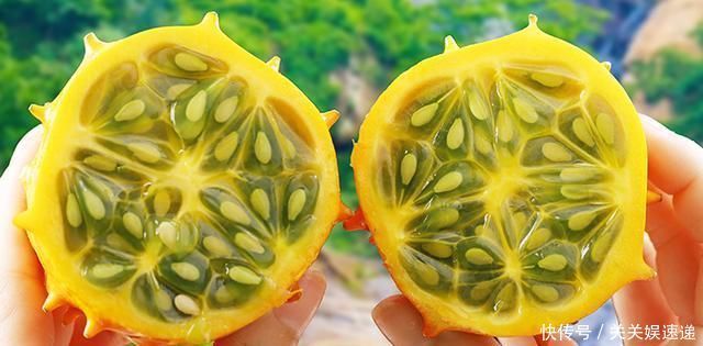 别再每天早晨只知道喝牛奶吃蔬菜了,这些更有营养