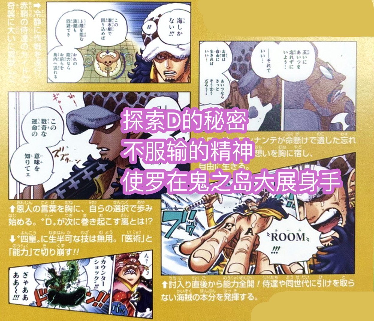 罗之前|海贼王官方情报,罗探索“D之一族”秘密,知晓真相的他,会死亡