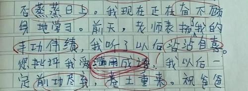 小学生百字作文有11个成语，网友看后笑岔气，老师无奈提一个建议