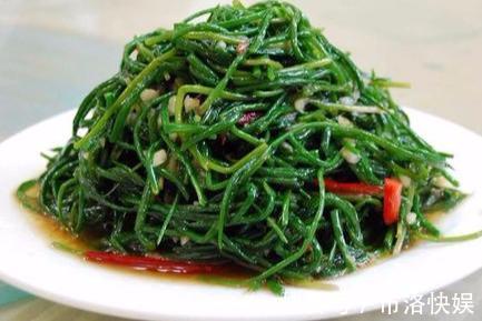 茼蒿|失眠最怕这个蔬菜，一斤只要2元，隔一天吃一次，一觉睡到天亮