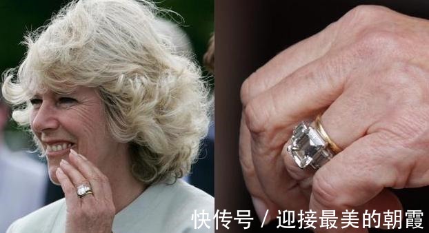 蛇形项链 卡米拉的蛇形项链20年前做情人时查尔斯送的,蛇蝎气质一目了然