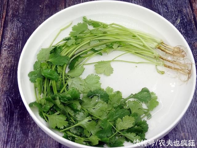 露天|种植香菜发芽慢，出芽率低?多加一个步骤，香菜发芽快出苗齐