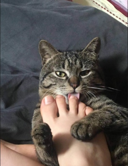 |搞笑GIF趣图:这位选手,打水漂大赛用这个是犯规的