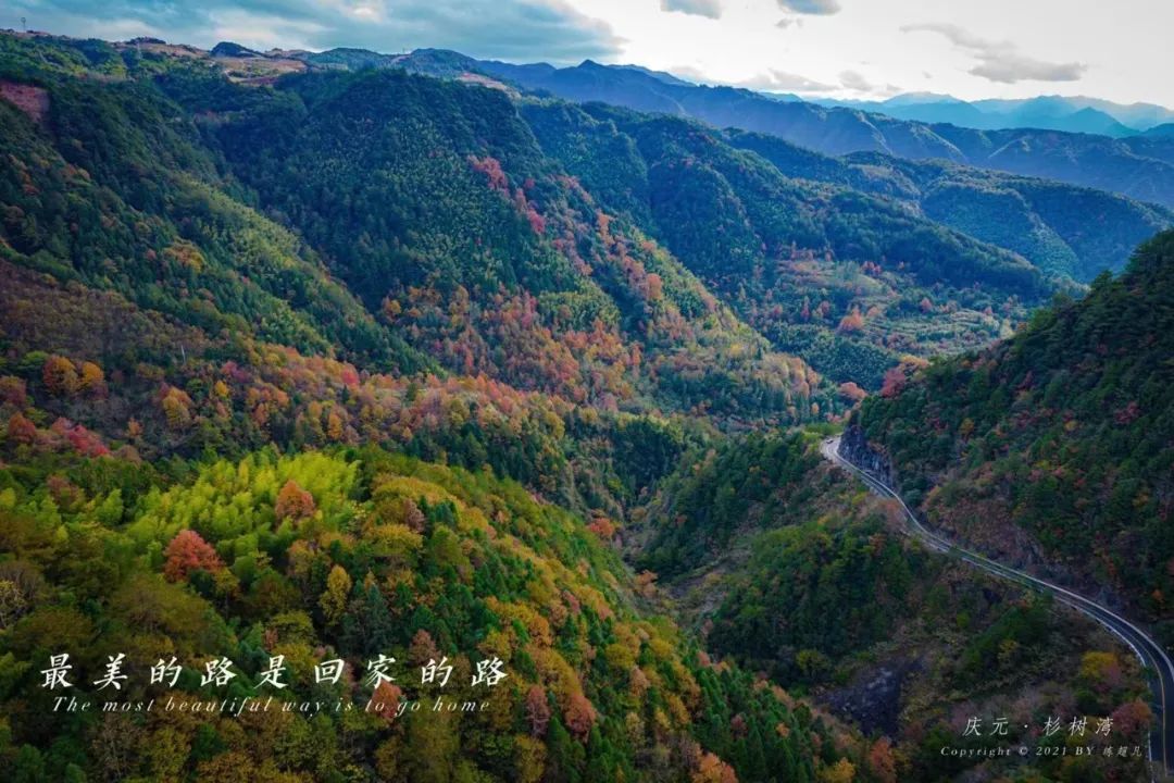 庆元|深秋初冬庆元最值得一去的旅行地，一入秋就美成了仙境