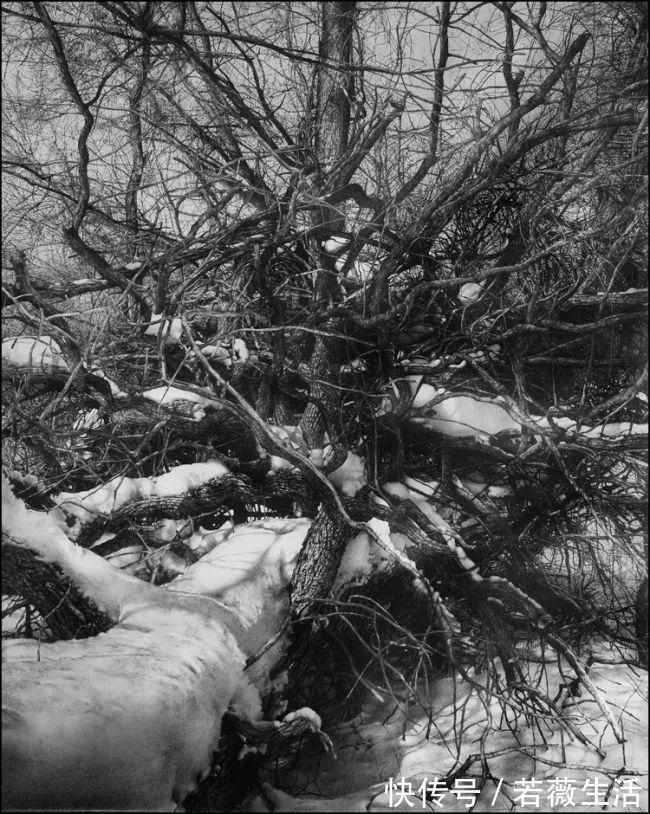 油画酱|这5个人把素描画到了极致,单色画面也能这么酷