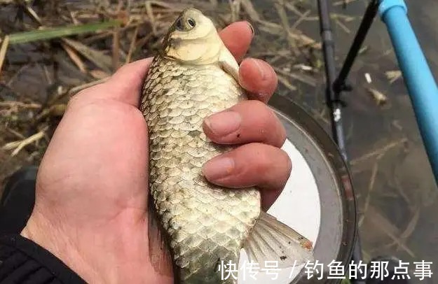 钓鱼|初春钓鱼,要知道“4钓、4不钓”,了解清楚,新手也能轻松爆护