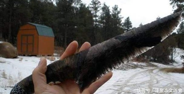 冷兵器|冷兵器越怪,死得越快第2产自三国时期,千军万马都拦不住