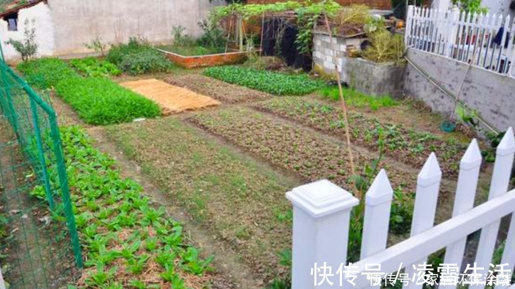 农村|闺蜜婆家的农村自建房，吹牛说花了500万，大家看值不值？