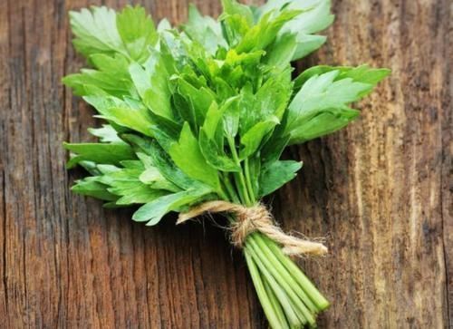 花菜|“寄生虫”成堆的四种食物,医生从来都不吃,你还傻傻的当美食