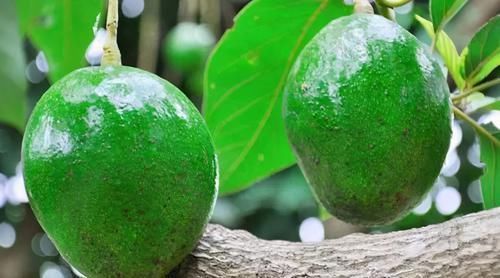 每天晚上多吃3种食物,排毒养颜、延缓衰老,早吃早健康!