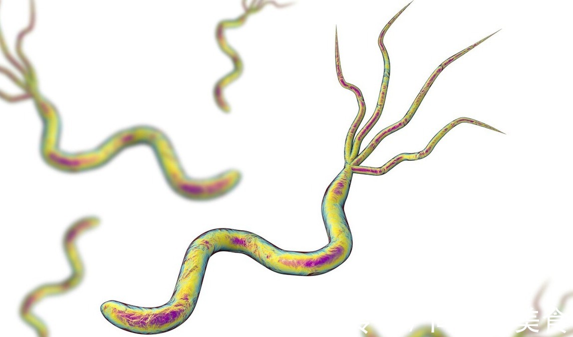 致癌性|什么食物常吃容易得癌症想要身体健康,这六种食物再好也要放弃