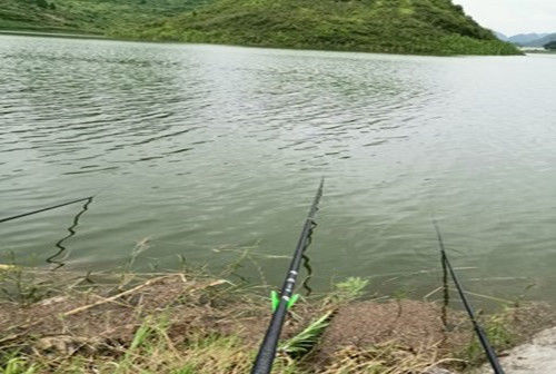 水域|夏季野钓不上鱼怎么办老钓友告诉你三招，夏季野钓上鱼多