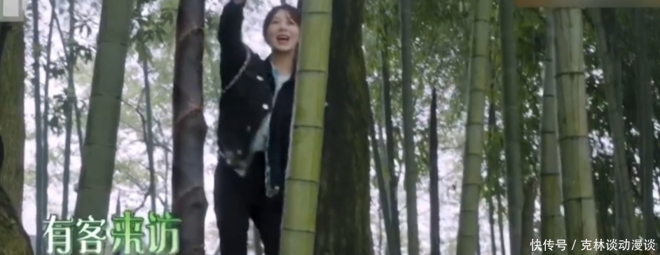 黄老师 黄磊撮合艺辈子,张艺兴心口不一努力表现,邀请杨紫坐拖拉机