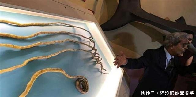 大爷|大爷留了44年的长指甲,捐给了博物馆,不料指甲被剪后发生意外