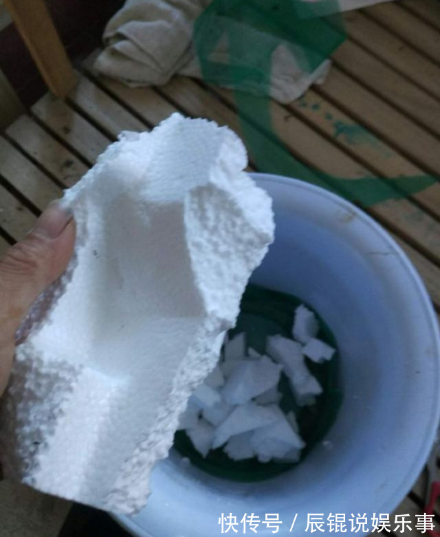 6种“垃圾”不要扔,拿来养花效果棒,省下一笔钱,废物又利用