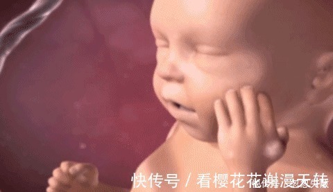 妈妈|胎宝在妈妈肚子里无聊不?是时候告诉孕妈真相了,怪可爱的