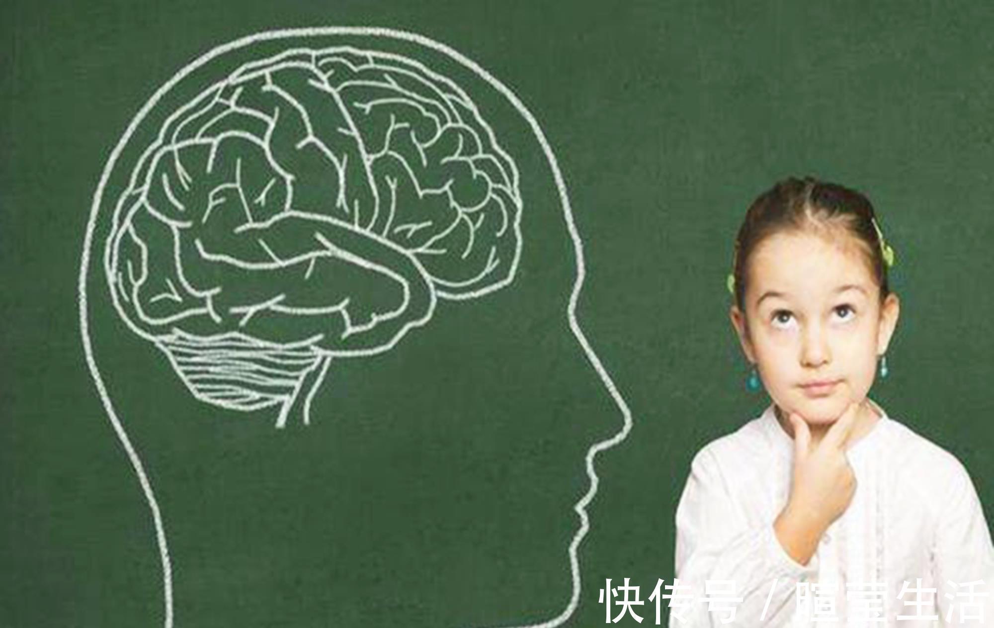 能力|美国研究:3岁前是孩子大脑发育的“高峰期”,三项能力缺一不可