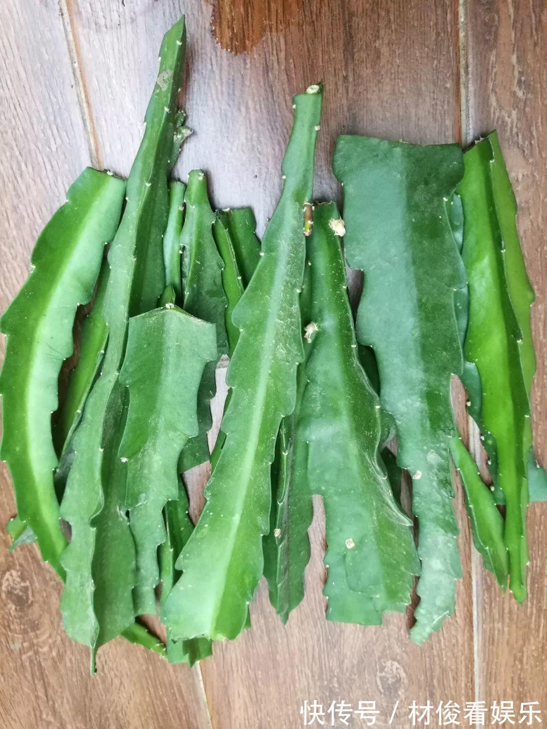 姜荷花|大爷养的“荷花”,窜的房顶高,垂下来变成花瀑布!