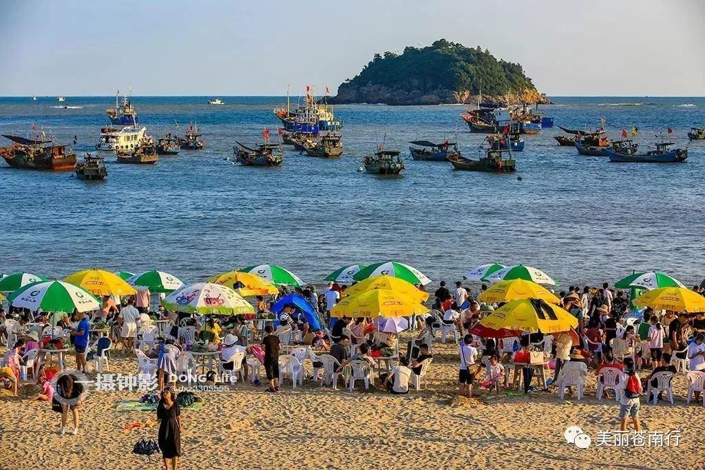 苍南|滨海游强劲领跑！国庆假期苍南旅游市场平稳有序