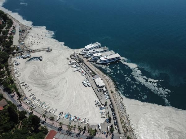 鼻涕|“海鼻涕”侵袭土耳其海岸